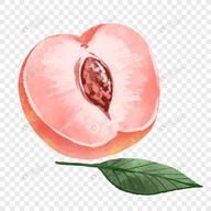 WWW,se793·COM网站APPAPP应用